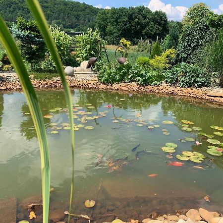 Siedlisko Przyjazne Progi Villa Rusocice Luaran gambar