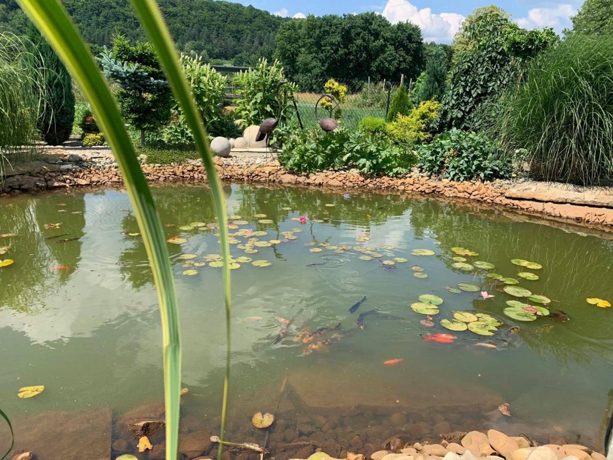 Siedlisko Przyjazne Progi Villa Rusocice Luaran gambar