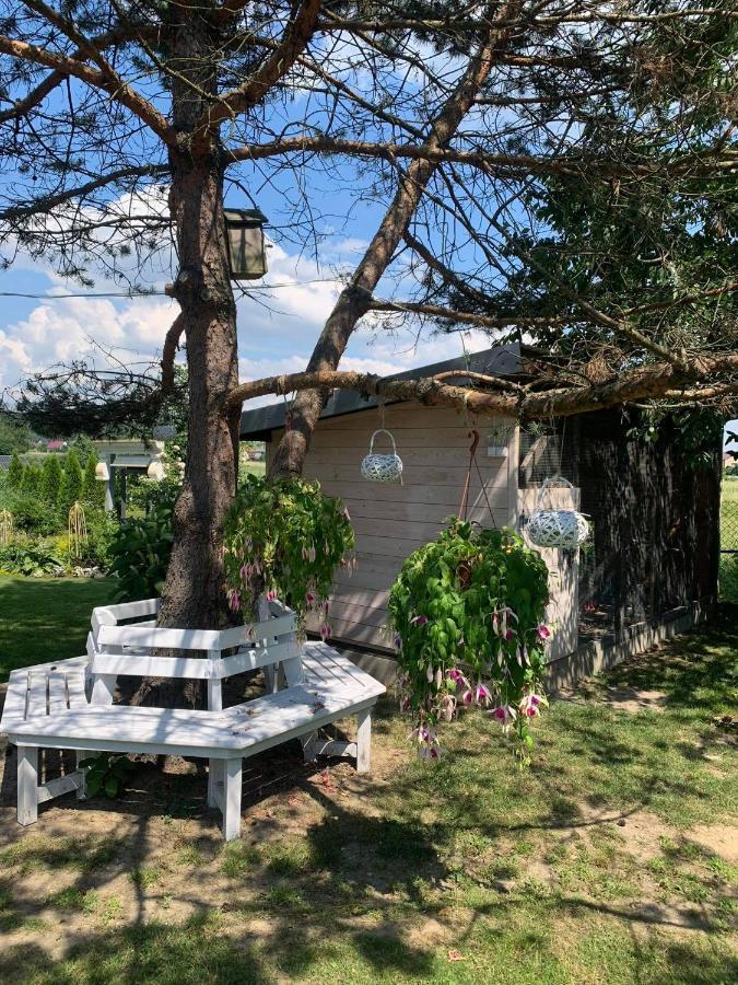 Siedlisko Przyjazne Progi Villa Rusocice Luaran gambar